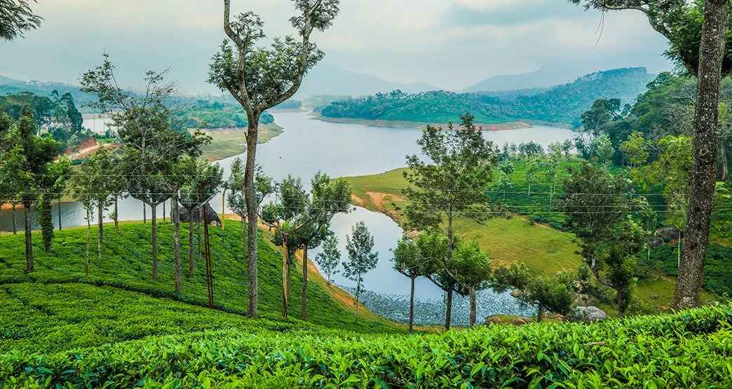 Munnar Thekkady Backwater Bliss