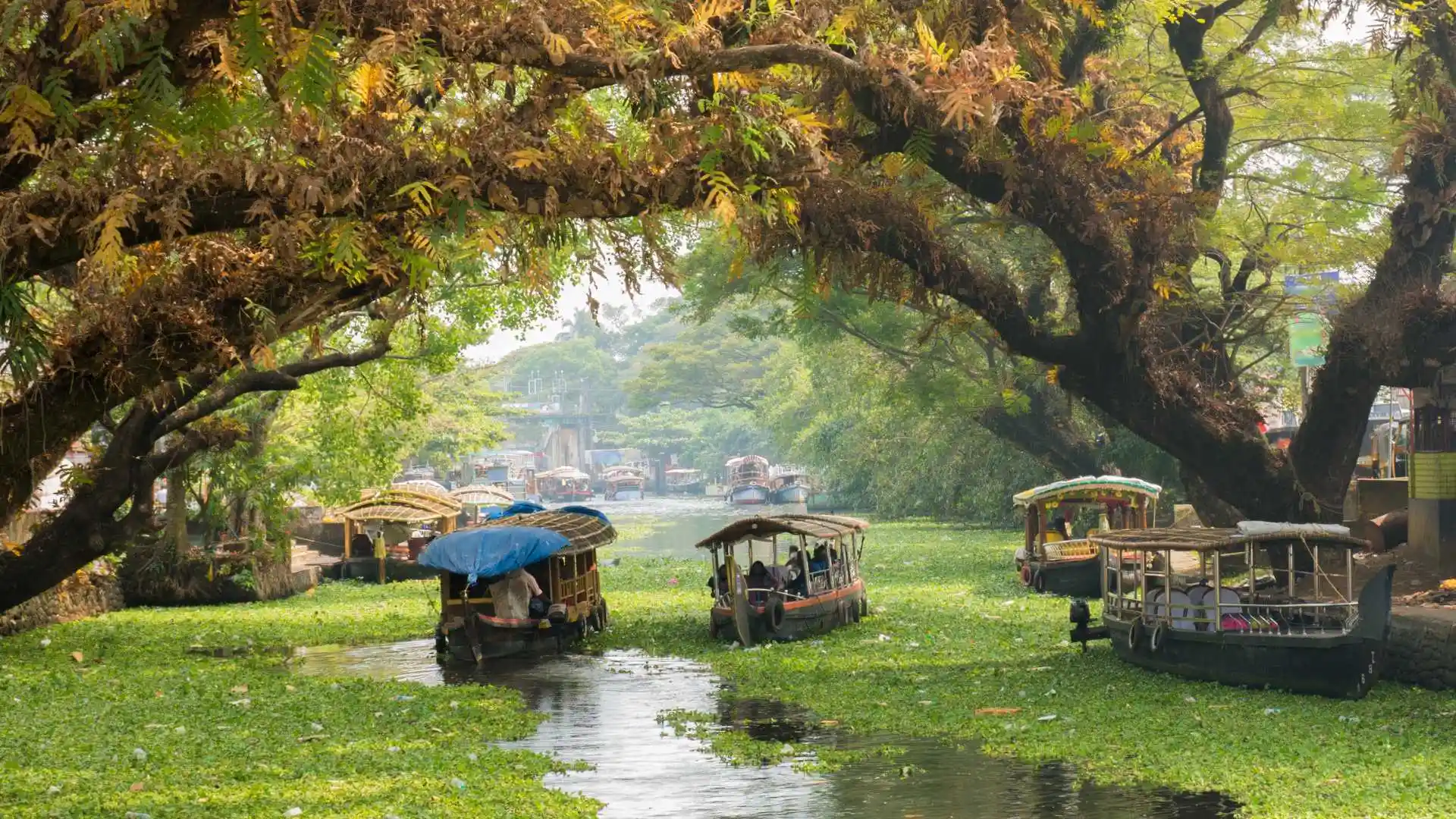 Exotic Kerala Tour Package